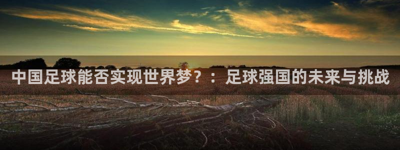世界杯赛程时间表:中国足球能否实现世界梦?:足球强国的未来与挑战