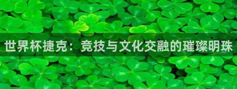 2026葡萄牙杯赛程表:世界杯捷克:竞技与文化交融的璀璨明珠