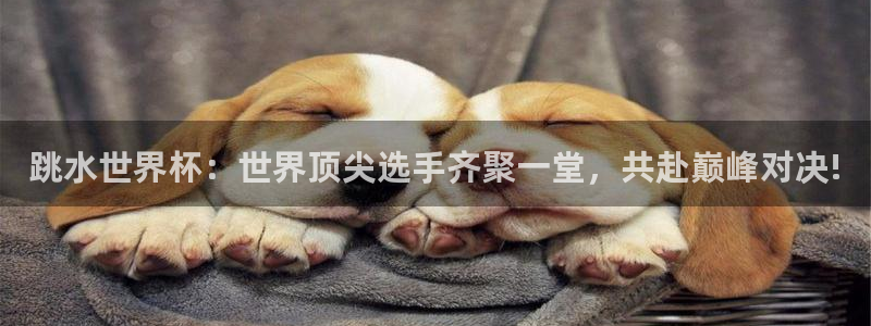 世界杯欧洲预选赛赛程:跳水世界杯:世界顶尖选手齐聚一堂,共赴巅峰对决!