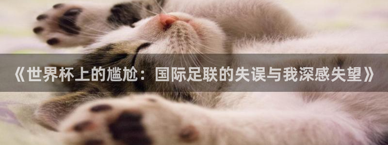 世界杯48支球队赛制:《世界杯上的尴尬:国际足联的失误与我深感失望》